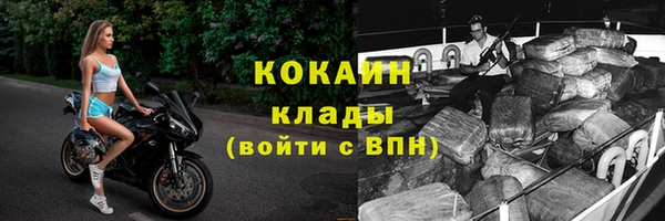 прущие грибы Тутаев