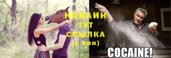 меф Заволжск