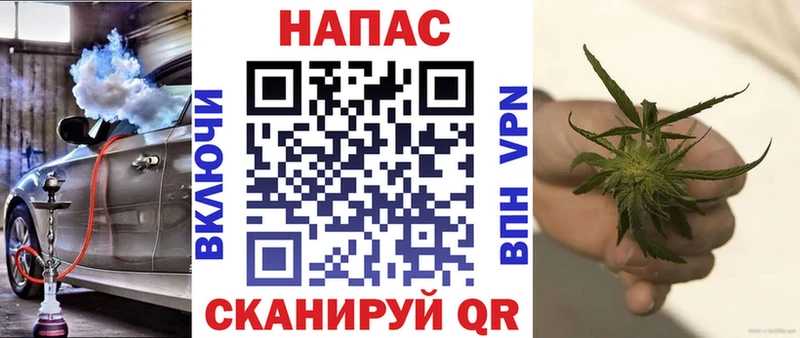 блэк спрут ССЫЛКА  Короча  Каннабис сатива 
